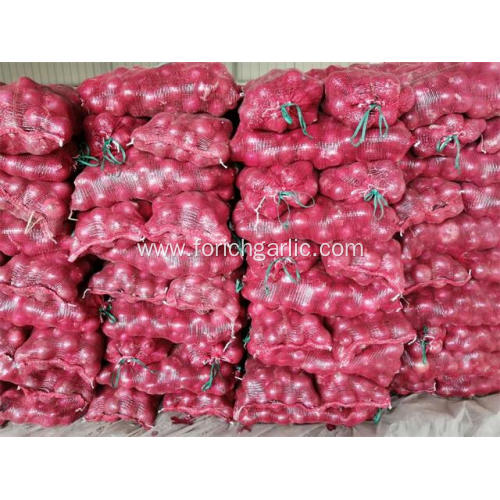 Fresh Best Quality Red Onion 2020